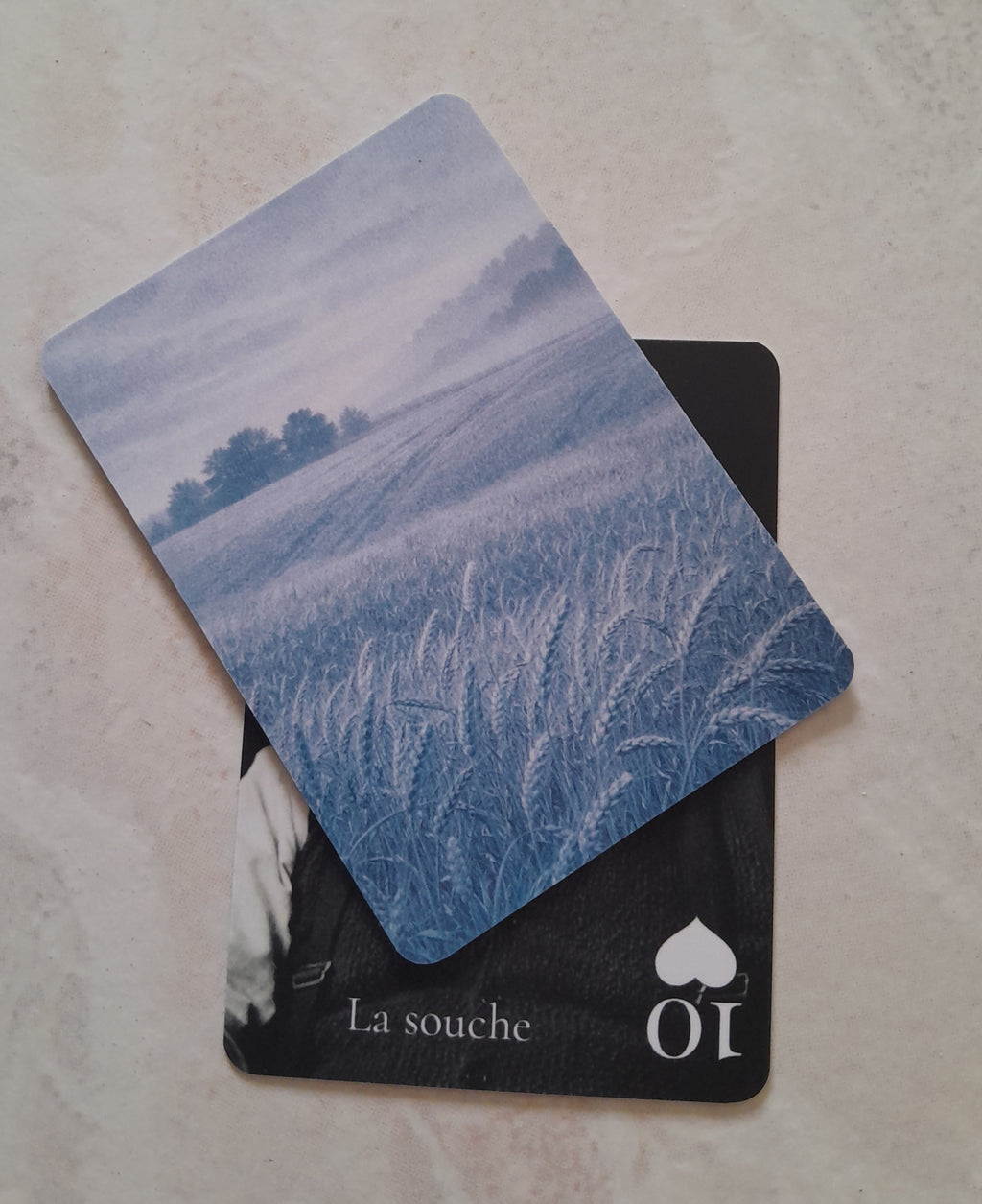 Jeu de cartes — Histoire sociale